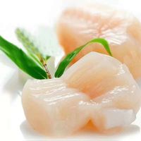 Frozen scallop meat