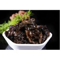 Black fungus