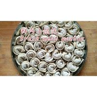 Frozen fresh meat wonton 50 pcs