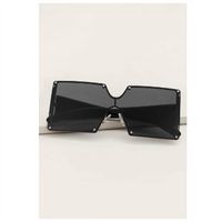 Rivet decor sunglasses with case