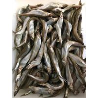 Capelin with fish roe