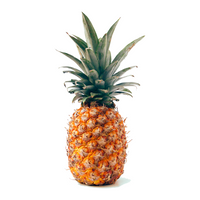 Pineapple hawaiian