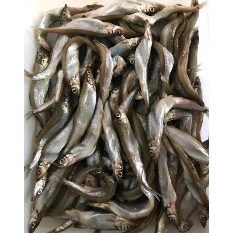 Capelin with fish roe
